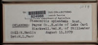 Image Associated With the Occurence